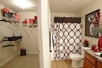 Closet upgrade